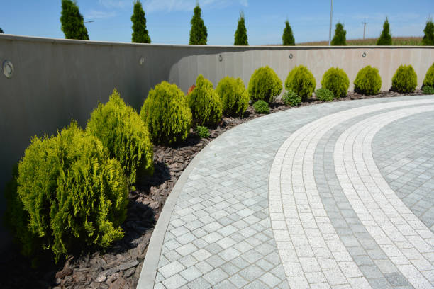 Best Driveway Paving Contractor  in Sells, AZ